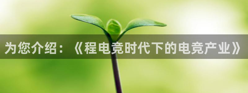 威客电竞官网：为您介绍：《程电竞时代下的电竞产业》