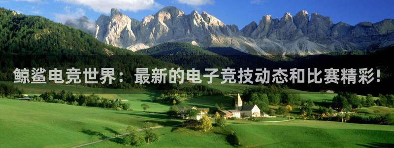 威客电竞测速：鲸鲨电竞世界：最新的电子竞技动态和比赛精彩!