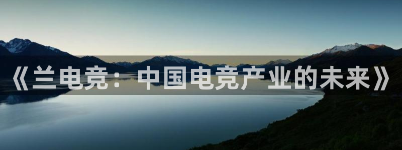 威客电竞：《兰电竞：中国电竞产业的未来》