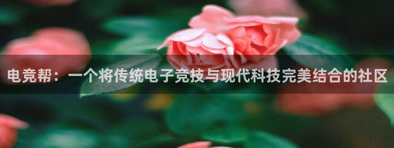 vkgame威客电竞：电竞帮：一个将传统电子竞技与现代科技完美结合的社区