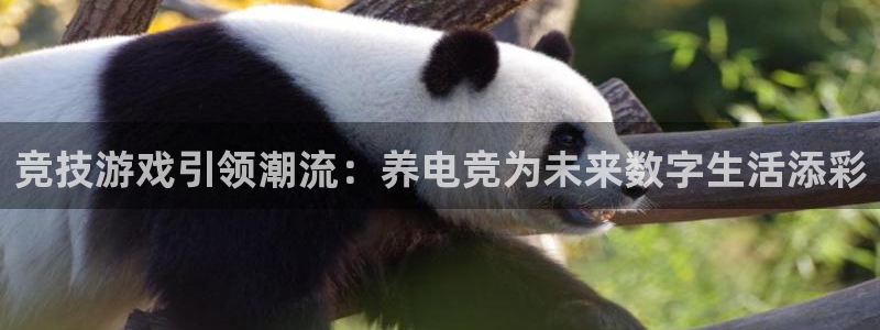 威客电竞：竞技游戏引领潮流：养电竞为未来数字生活添彩