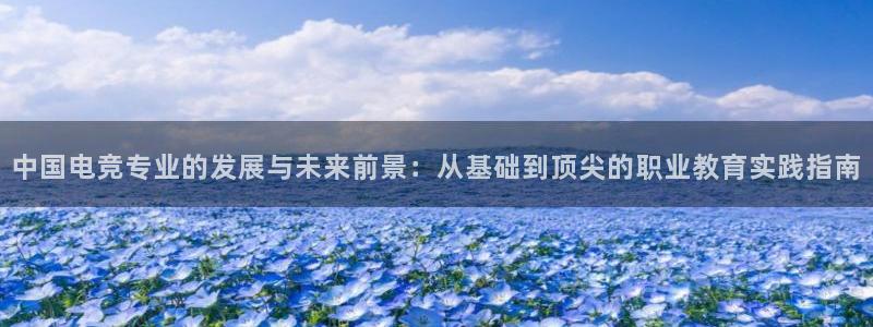 威客电竞·(中国)VKGAMING：中国电竞专业的发展与未来前景：从基础到顶尖的职业教育实践指南