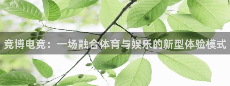 威客电竞·(中国)VKGAMING：竞博电竞：一场融合体育与娱乐的新型体验模式