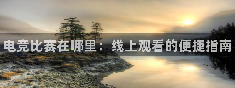 威客电竞客服：电竞比赛在哪里：线上观看的便捷指南