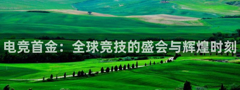 威客电竞·(中国)VKGAMING：电竞首金：全球竞技的盛会与辉煌时刻