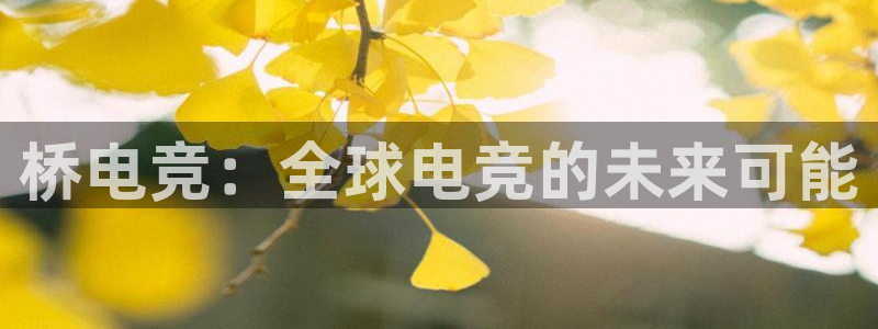 威客电竞酒店：桥电竞：全球电竞的未来可能