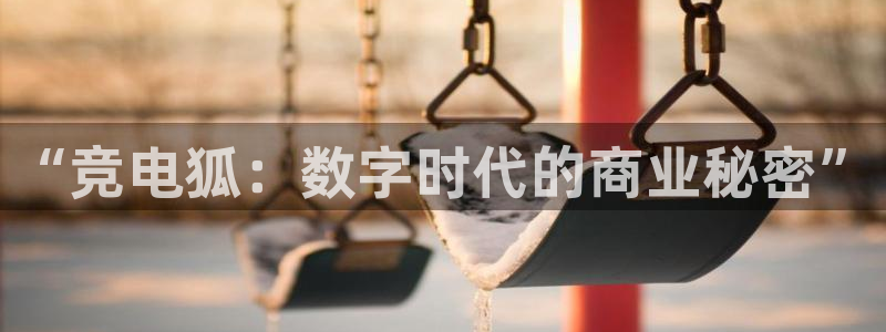 威客电竞vkgame官网：“竞电狐：数字时代的商业秘密”