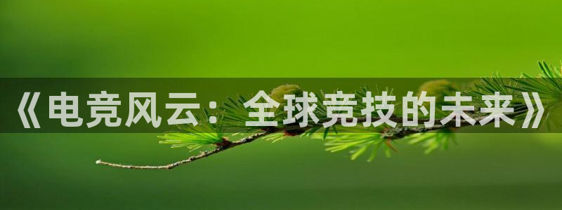 vkgame威客电竞官网：《电竞风云：全球竞技的未来》