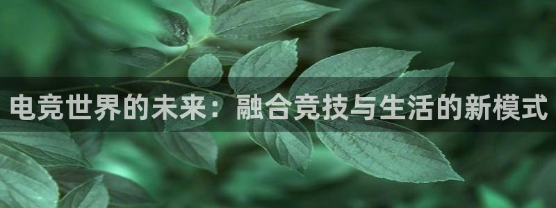 威客电竞酒店：电竞世界的未来：融合竞技与生活的新模式